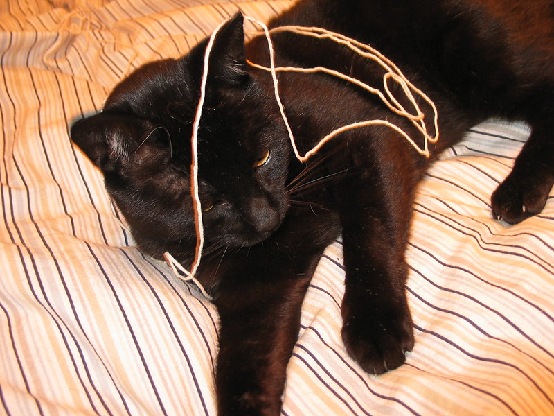 A black cat reclines on a bed with a strand of yellow yarn over its head and shoulders