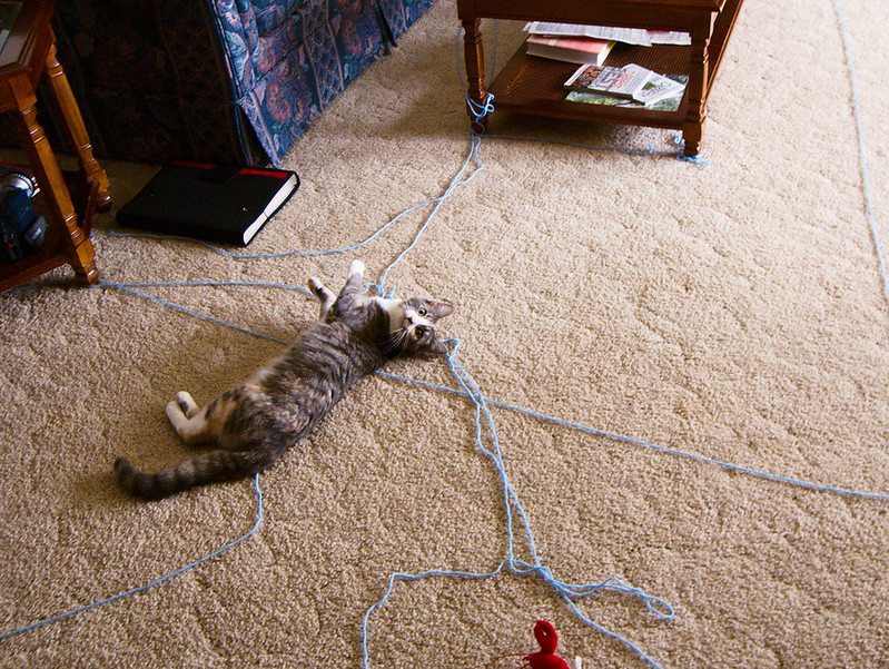 A grey cat lies on carpet, looking at the camera, with strands of blue yarn spread across the floor around it