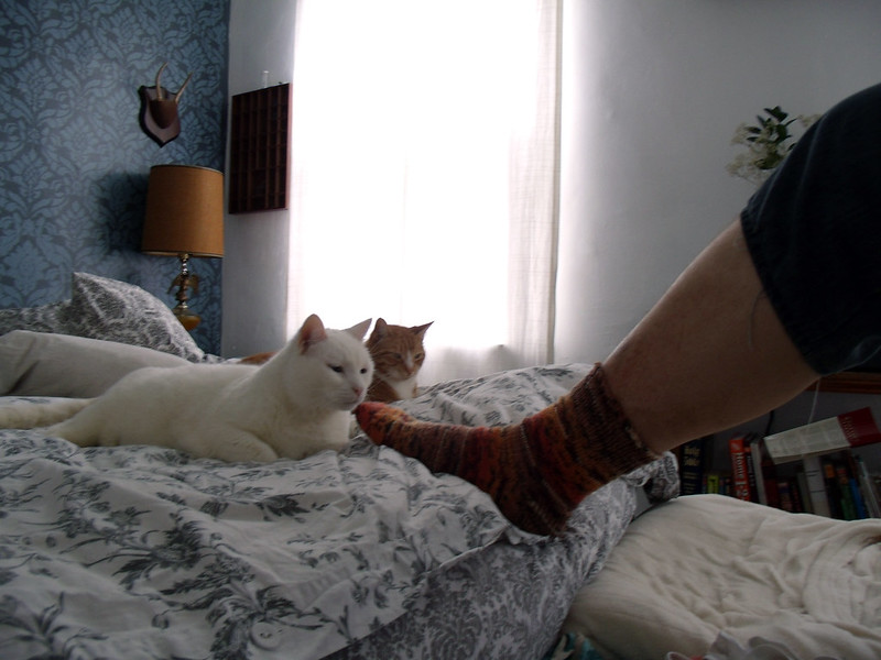 Two cats sitting on a bed stare impassively at a besocked foot on the end of a human leg that is only shown up to the knee