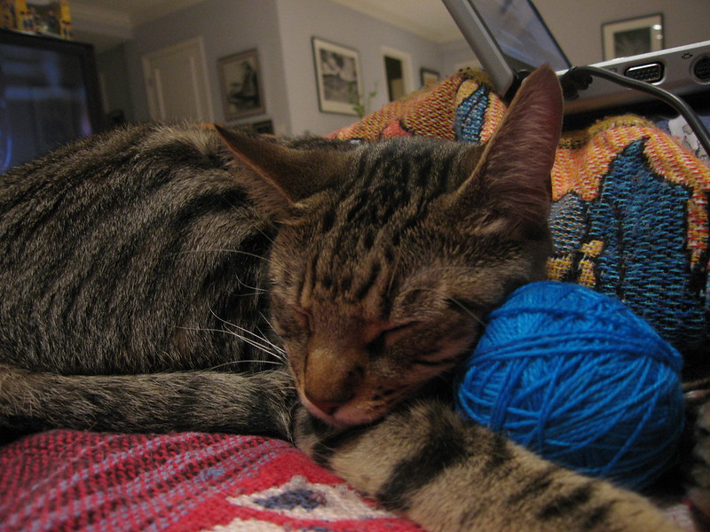 A tabby cat sleeps with its head resting against a small ball of blue yarn