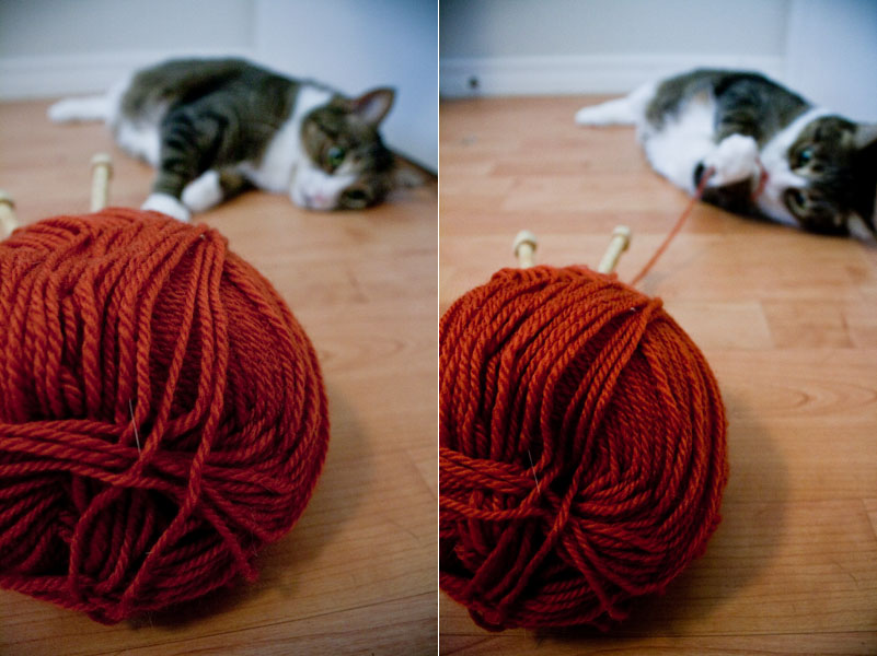 Two similar photos of a cat in the background grabbing at a strand of yarn coming from a red ball of yarn in the foreground