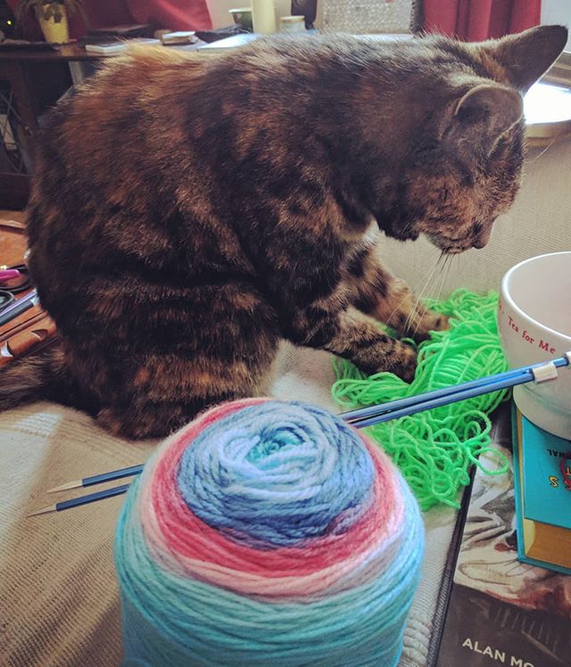 A tabby cat kneads a tangle of green yarn; a tightly wound cylinder of multicolour yarn sits in the foreground