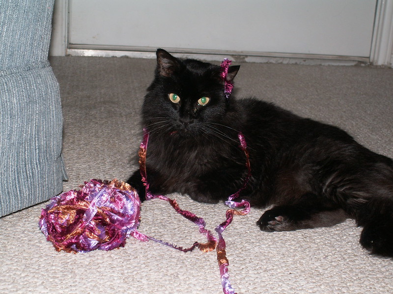 A black cat lies on carpet with a ball of reddish yarn nearby, one strand of which loops over the top of its head