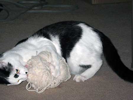 A black and white cat lies on its side on carpet and grabs tightly at a ball of white yarn