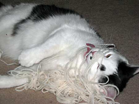 A black and white cat lies on carpet with a tangle of white yarn spread across its face and front paws